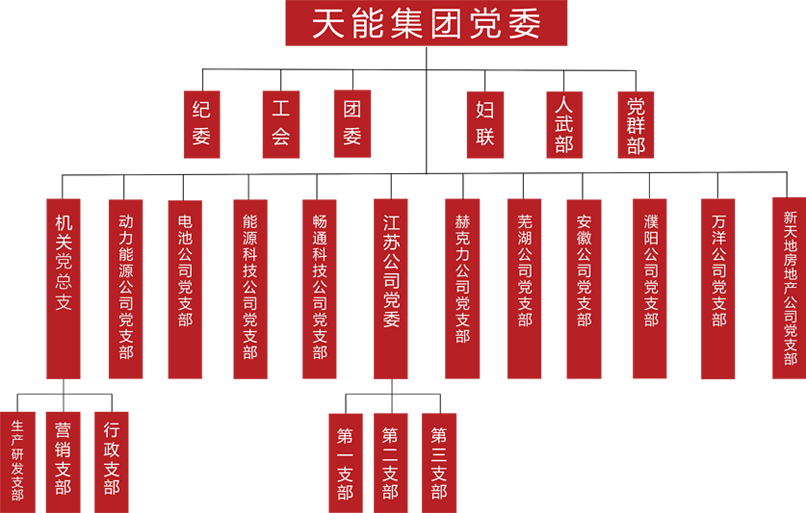 安鑫娱乐建团党委组织架构